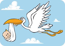 Image result for stork