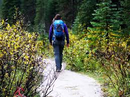 Sneak away to meet your mistress. Self Propelled Adventures Guided Hike In Golden Bc Whererockies Com