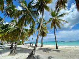 ier plage isla saona picture of