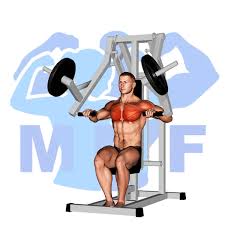 lever chest press machine your easy