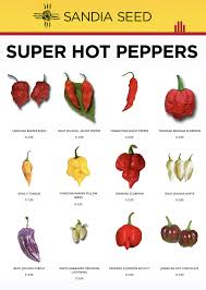 Did You Know That The Hottest Pepper In 2018 And 2019 Is The