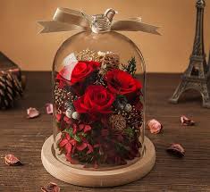 Beast Rose In A Glass Bell Jar With Led