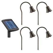 Metal Tulip Light Set With Remote Panel