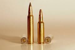 300 Winchester Magnum or 300 Winchester Short Magnum ...