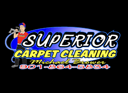 6 best carpet cleaning services