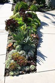 Image4 Succulent Landscaping Rock