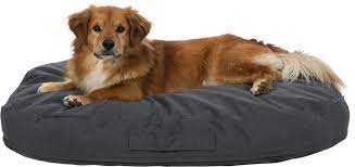 Pulito Vital Dog Cushion Petworld Ie