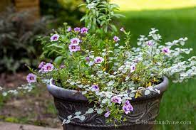 How To Create Container Flower Gardens