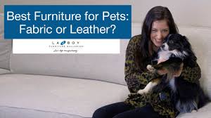 best furniture for pets leather or