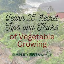 25 secrets to vegetable gardening tips