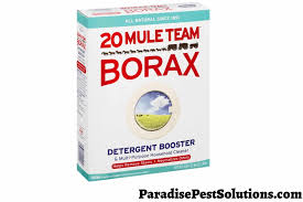 does borax kill fleas