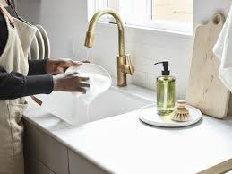 get rid of drain gnats flies in your sink