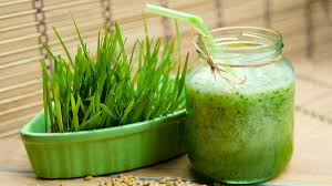 health benefits of drinking wheatgr