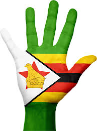 Image result for zimbabwe flag