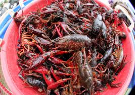 nola crawfish king seafood barbecue