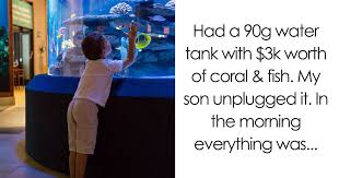Most Expensive Things Their Kids Ruined