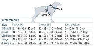Kurgo Dog Harness Car Harness For Dogs Large Blackpet Safety Seat Belt Certified Crash Tested Harness Car Seatbelt Tru Fit Enhanced