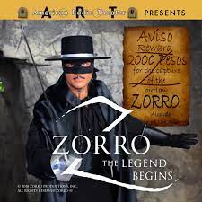 Zorro: The Legend Begins : Mcculley, Johnston, McCullough, Daryl, Jackson,  Joy: Amazon.de: Bücher
