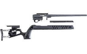ruger 10 22 stock