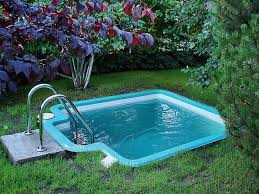 Wondering if a small pool is right for you? Dipping Pool In Blue Very Small But Deep Surrounded By Various Shrubs In A Garden With Green G Cool Swimming Pools Small Swimming Pools Small Backyard Pools
