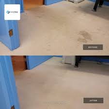 carpet cleaning services sterling