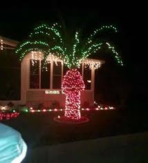 This Is Why You Dont Put Christmas Lights On A Palm Tree