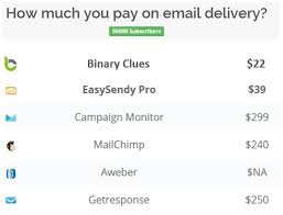 Binaryclues Email Marketing