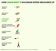 Heres How Usain Bolts Top Speed Compares To Michael Phelps