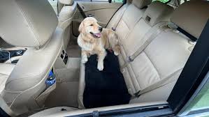 Backseat Car Cover Pet Safe Mat That