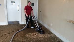 about new jersey carpet cleaning