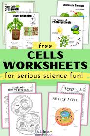 free cells worksheets for super fun
