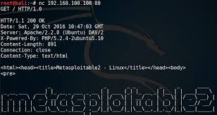 hacking with netcat part 1 the basics
