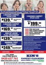 carpet cleaning and flea treatment