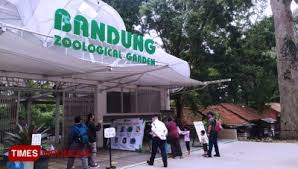 Mau menggunakan bus, tapi terminal jauh dari rumah? Hari Pertama New Normal Kebun Binatang Bandung Masih Sepi Times Indonesia