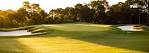 Bent Pine Golf Club - Golf in Vero Beach, Florida