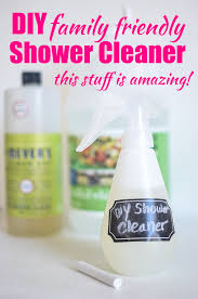diy shower cleaner family friendly