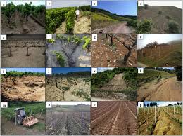 five decades of soil erosion research