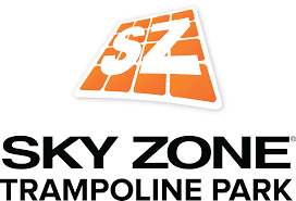 Image result for sky zone google images