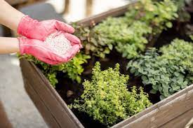10 fertilizer in your home garden
