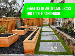 artificial turf in phoenix for edible