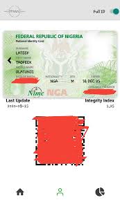 virtual nigerian national id card