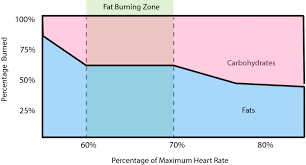 interate exercise the fat burning