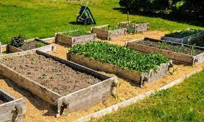 How Deep Should A Raised Garden Bed Be