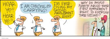 As a continuation of its efforts to increase civic engagement, the wna foundation has launched first amendment writing and cartoon contests. The First Amendment Comic Strips The Comic Strips