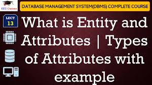 l13 what is eny and attributes