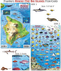 Hawaii Reef Big Island Frankos Fabulous Maps Of