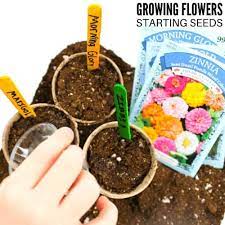 Moisture, sunlight, and the proper soil are the most important components to growing a flower from a seed. Easy Flowers To Grow This Spring Little Bins For Little Hands