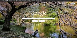 get bing search background image on