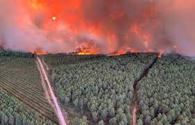 Faits divers : ce que l'on sait sur les incendies qui ont ravagé plus de  1.200 hectares