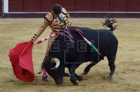 Robleño y Juan de Castilla triunfan en variada tarde de toros en Bogotá -  Eje21